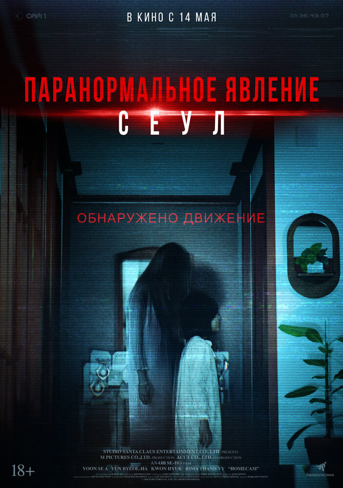Домашняя камера